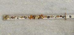 Beautiful Swarovski Crystal AB Top Drilled Bi Cone Beaded Bracelet