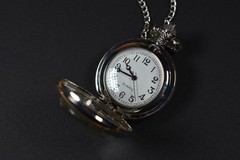 Green Birdwing Pocket Watch Pendant Necklace Butterfly Wing Jewelry Silver