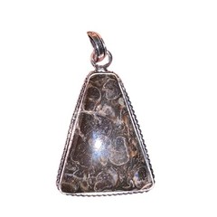Turritella Fossil Agate Pendent