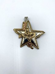 Texas Lone Star State Pendant & Texas Longhorn Earrings 2 Pair