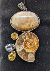 925 Sterling Ammonite Fossil Coral Citrine Artisan Pendant 2.5″ 26.7.14-2