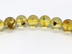 Amber Bracelet INSECT in EVERY BEAD Gift Baltic Round Beads Insects 5,1g 17464