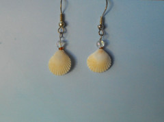 Pretty Seashell Earrings with Turquoise Chips and Glass Beads. Handmade