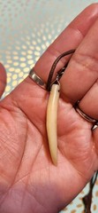 Chan Luu artisan bohemian cluster of charms and dark Brown Leather cord Necklace