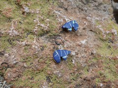 Lapis & White Opal Indian Inspired Bear Southwest Sterling Silver Earrings E63