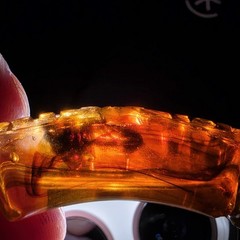 RARE Genuine Amber Carved Floral Chunky Tube Bead Stretch Bracelet Tested HTF