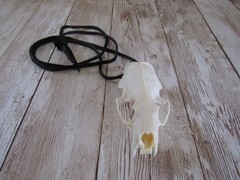 Mink Skull Top Necklace Bone Tribal Unique Animal Bone Jewelry (Neovison Vison)