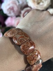 Natural Agatized Coral Fossil Beads Stretch Bracelet
