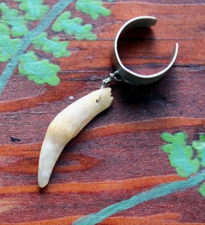 Real single American opossum tooth on silver-plated brass ear cuff