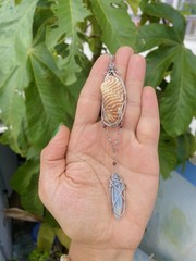 Handmade Aguadilla Seashell & Blue Kyanite Necklace – Red Garnet – Steel Chain