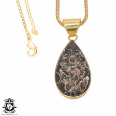 Turritella Agate 24K Gold Plated Pendant 3mm Snake Chain GPH741