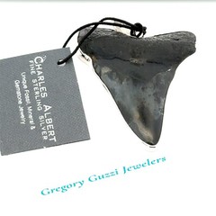 Sterling Silver Fossil Shark Tooth Pendant (Charles Albert)-1 7/8 x 2.5 Inch.