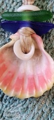 Sunrise Shell & Sea Glass Necklace Braid Beach Men Gift Puka Pecten Langfordi