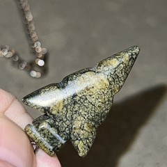 Arrowhead Serpentine Type Stone Pendant Green Natural Matrix Brass Chain Olive
