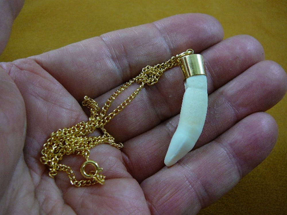 (G167-9) 1-3/4″ Alligator gator T**th Gold plated brass capped pendant necklace