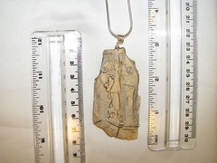 AZ Petrified Wood wire wrap sp snake chain necklace natural stone pendant #207