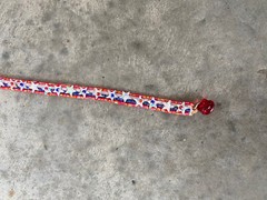 Handmade Red White And Blue Stars Beaded Bracelet