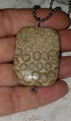 Fossilized Coral Pendant Necklace Unique One Of A Kind Fossil