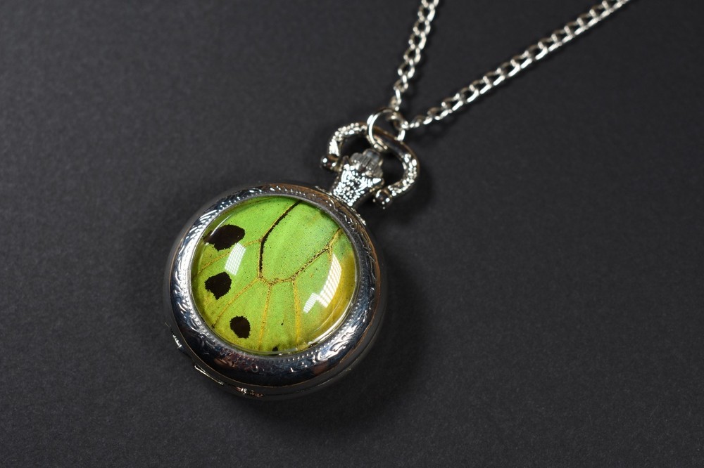 Green Birdwing Pocket Watch Pendant Necklace Butterfly Wing Jewelry Silver