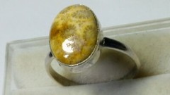 CUTE FOSSIL CORAL IN STERLING SILVER.925 RING SIZE 9.0-9.25!
