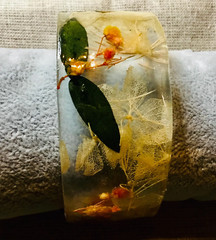 Delicate Handmade Resin Bangles with Real White & Pink Dried Flowers — Symbolic
