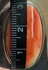 Vintage Modernist 950 Fine Silver Large Orange Spiny Oyster Shell Drama Pendant