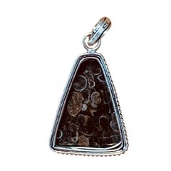 Turritella Fossil Agate Pendent