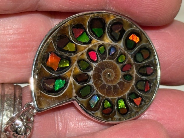 SEE VIDEO:SPECTACULAR RARE,AMMOLITE(CANADA) INLAY IN FOSSIL AMMONITE(MADAGASCAR)