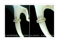 PREMIUM HANDCRAFTED OOAK SHED DEER, ELK ANTLER RING,SIZE 8 1/4, R-426