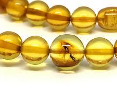 AMBER NECKLACE 2 INSECTS Gift Natural Baltic Amber Round Beads Insect 15g 17533