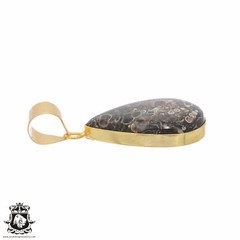 Turritella Agate 24K Gold Plated Pendant 3mm Snake Chain GPH740