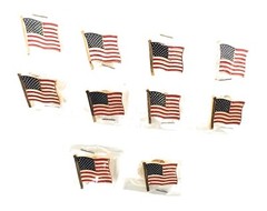 10 pcs Patriot American Flag Lapel Pins with Gold Clutch Butterfly Backing