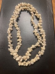 Mini Sea Snail Shell Necklace Gray White 17 in Infinity Neclace