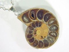 BUTW- Silver Ammonite nautiloid fossil 45 mm pendant necklace jewelry 4505D