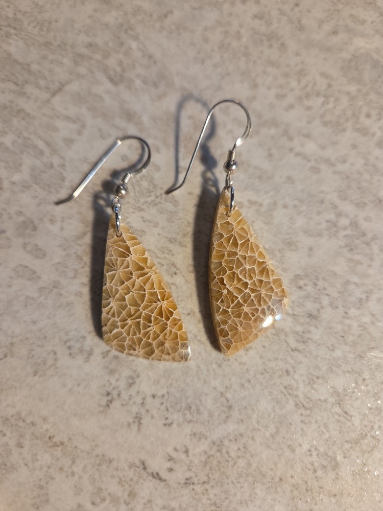 Natural Fossilized Coral Dangle Earrings Stering Silver Ear Wires E14