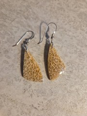 Natural Fossilized Coral Dangle Earrings Stering Silver Ear Wires E14