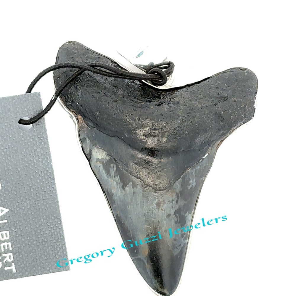 Sterling Silver Fossil Shark Tooth Pendant (Charles Albert)-1 7/8 x 2.5 Inch.