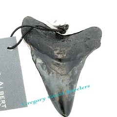 Sterling Silver Fossil Shark Tooth Pendant (Charles Albert)-1 7/8 x 2.5 Inch.