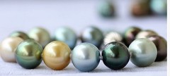 Charm 7.5″11-14mm Natural South Sea Genuine Gold Black Gray Round Pearl Bracelet