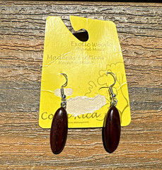 Exotic Woods Handcrafted Costa Rica Wood Oval Dangle Earrings Brown Steel Hook