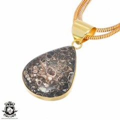 Turritella Agate 24K Gold Plated Pendant 3mm Snake Chain GPH740