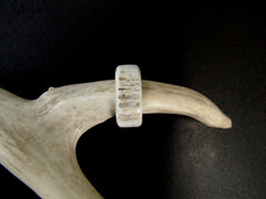 HANDCRAFTED OOAK SHED DEER, ELK ANTLER RING,SIZE 7 1/4, R-317