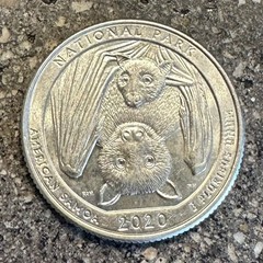 U.S. American Samoa NP «Bats» 2020 Quarter Hand Cut Coin Necklace 18″ NEW