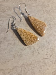 Natural Fossilized Coral Dangle Earrings Stering Silver Ear Wires E14