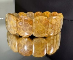 HIGH GRADE NATURAL CORAL FOSSIL BRACELET/ VARIOUS FLOWERS PATTERN