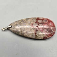 Fossil Coral Big Double Sided Tear Drop Pendant 2.35″ or 59.6 mm, 18KGP Bail