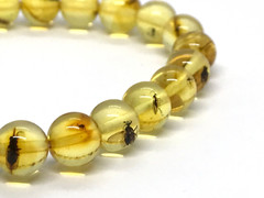 Amber Bracelet INSECT in EVERY BEAD Gift Baltic Round Beads Insects 5,1g 17464
