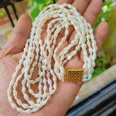 Genuine Natural Freshwater Rice Pearl 5 Strand Women Necklace Gold Plated Clasp