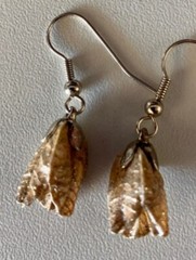 Dessicated Seed Pod Earrings – Made From All Natural Dried Seed Pods