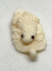 Carved frog on leaf pendant, cow bone, NWOT